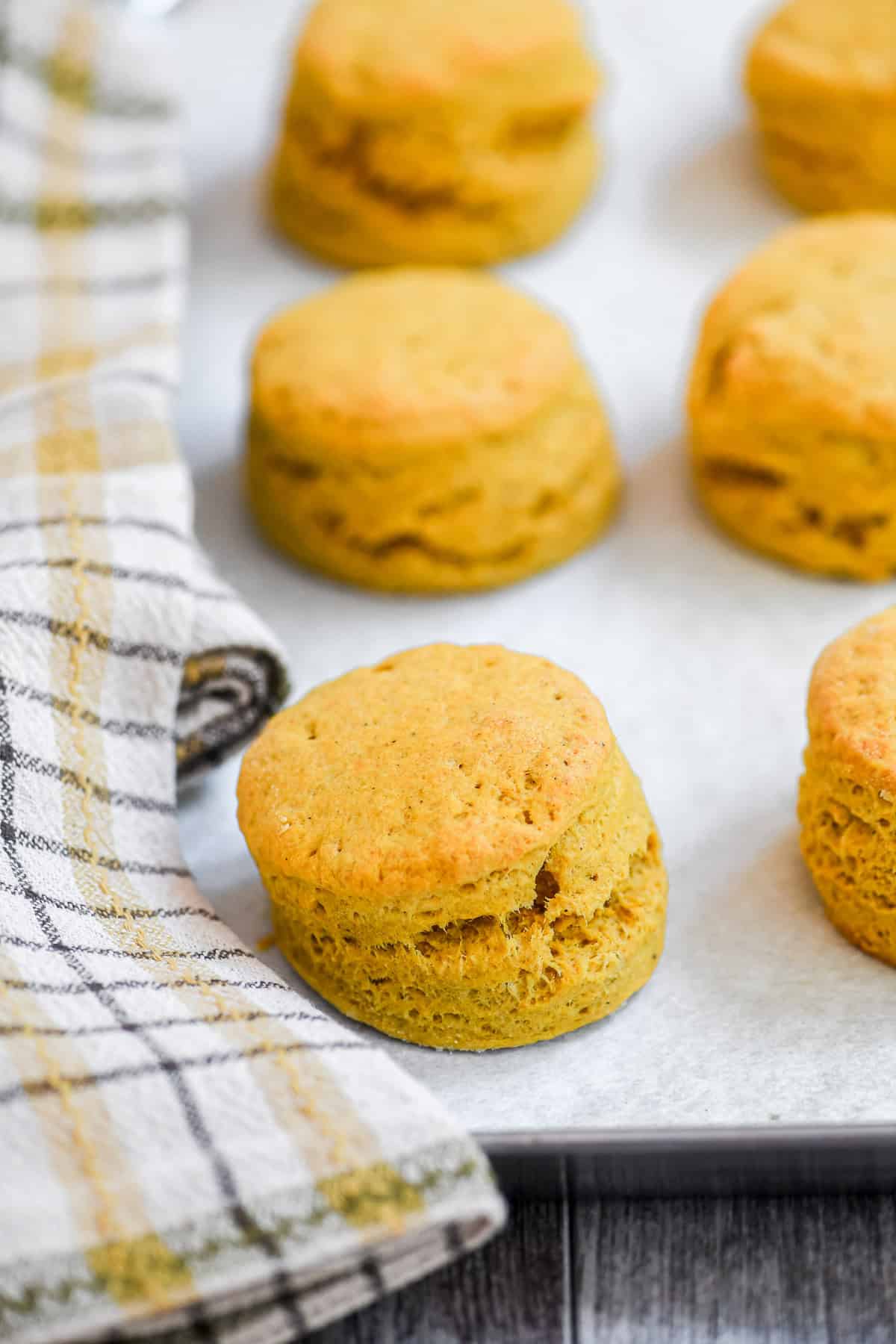 Pumpkin biscuits on a baking sheet, just out of the oven.