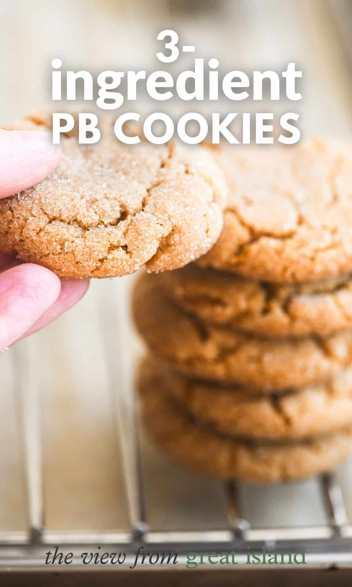 3 ingredient peanut butter cookies pin