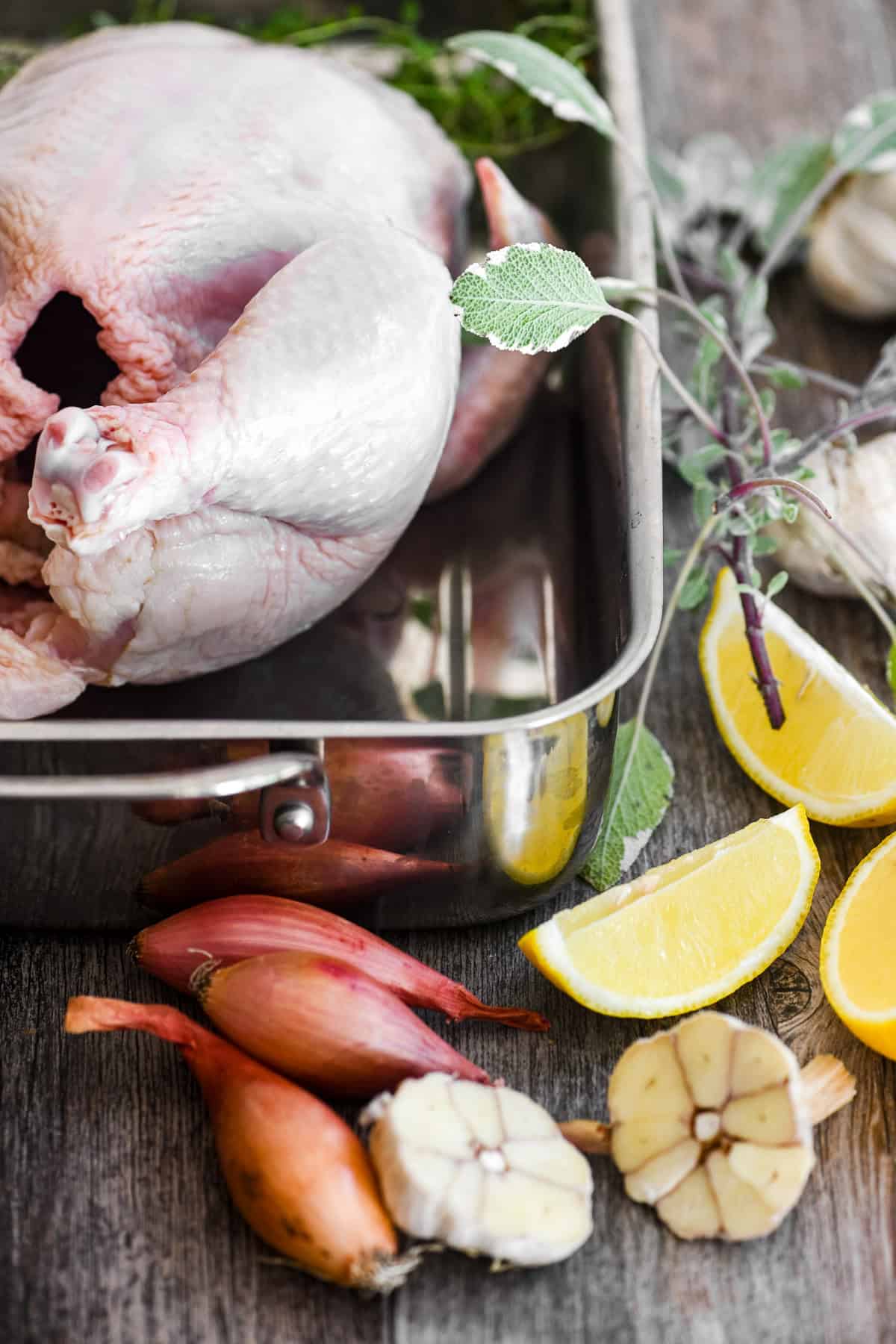 Chicken in a roasting pan surrounded by lemons, herbs, garlic and shallot for stuffing.