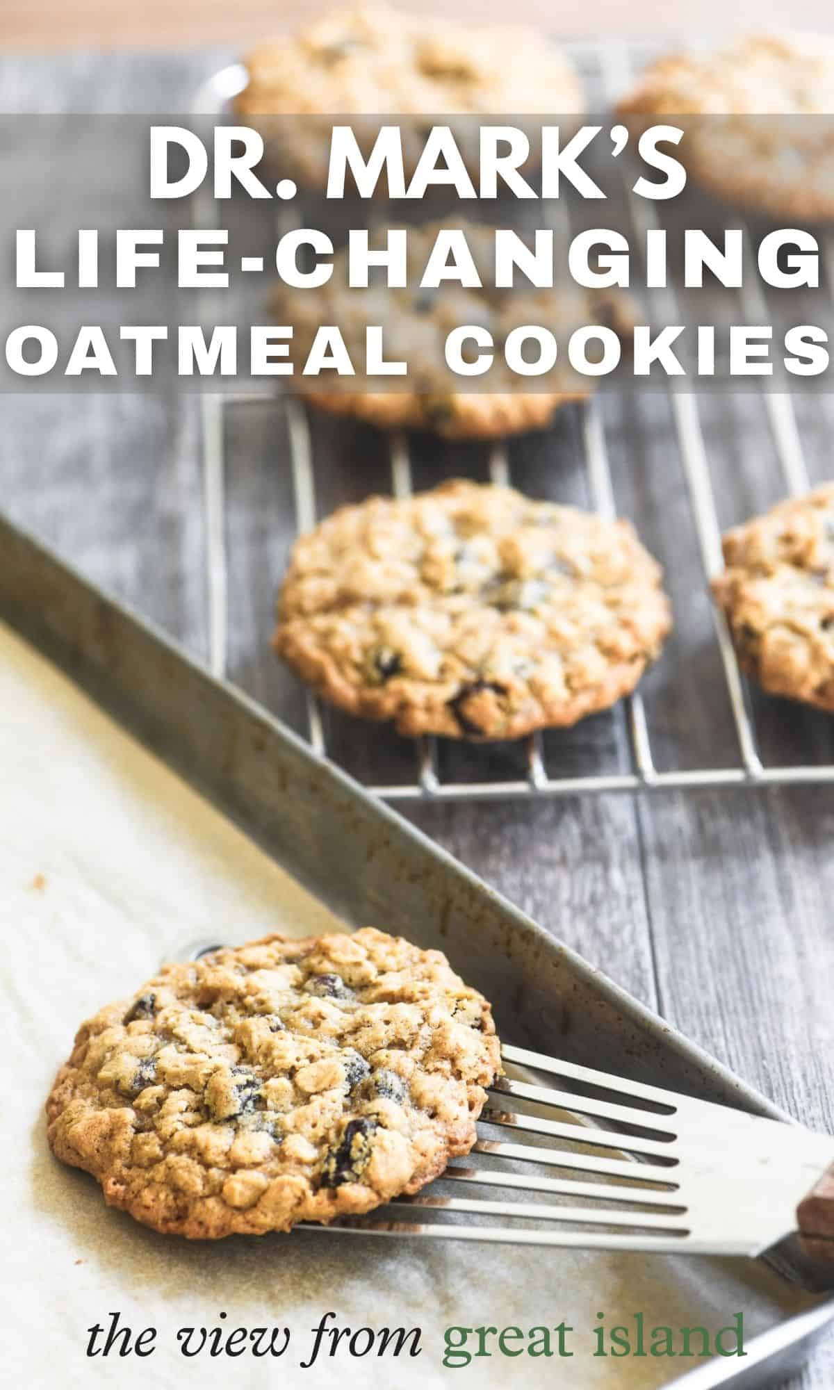 oatmeal raisin cookies pin.