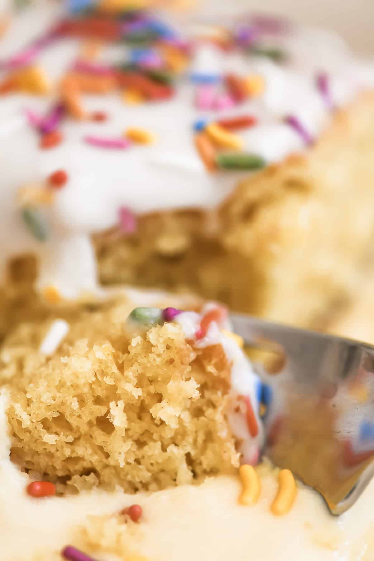 close look at the crumb texture of British school cake.