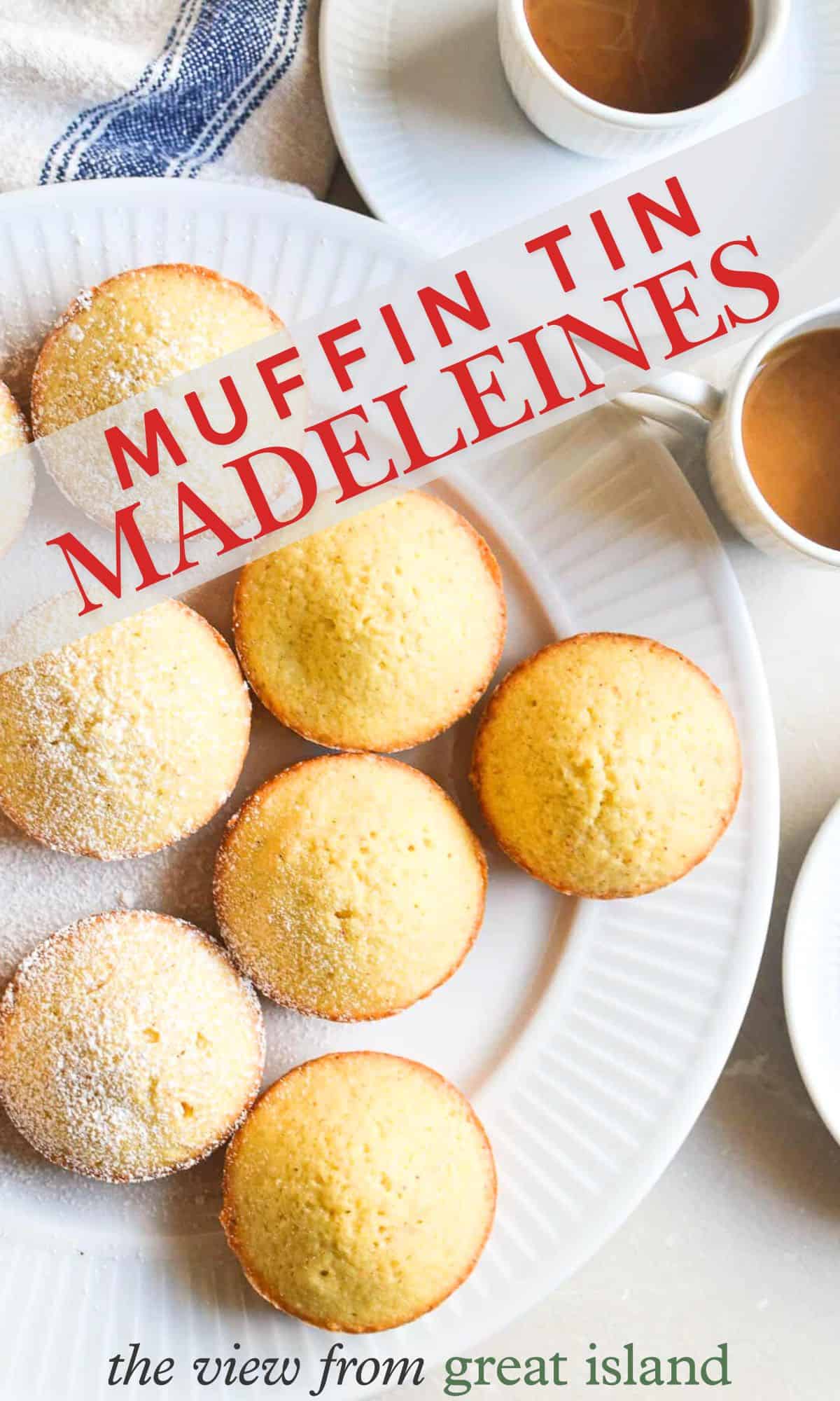 muffin tin Madeleines pin