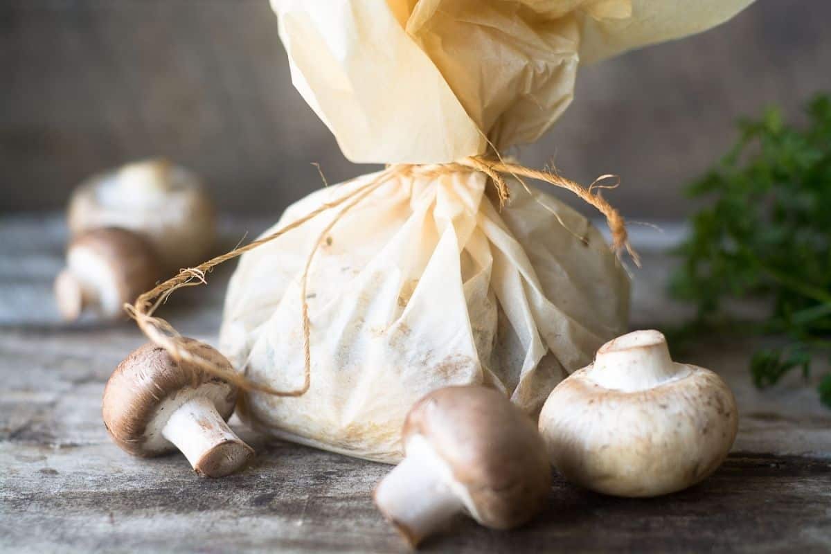 mushrooms in parchment paper bag.