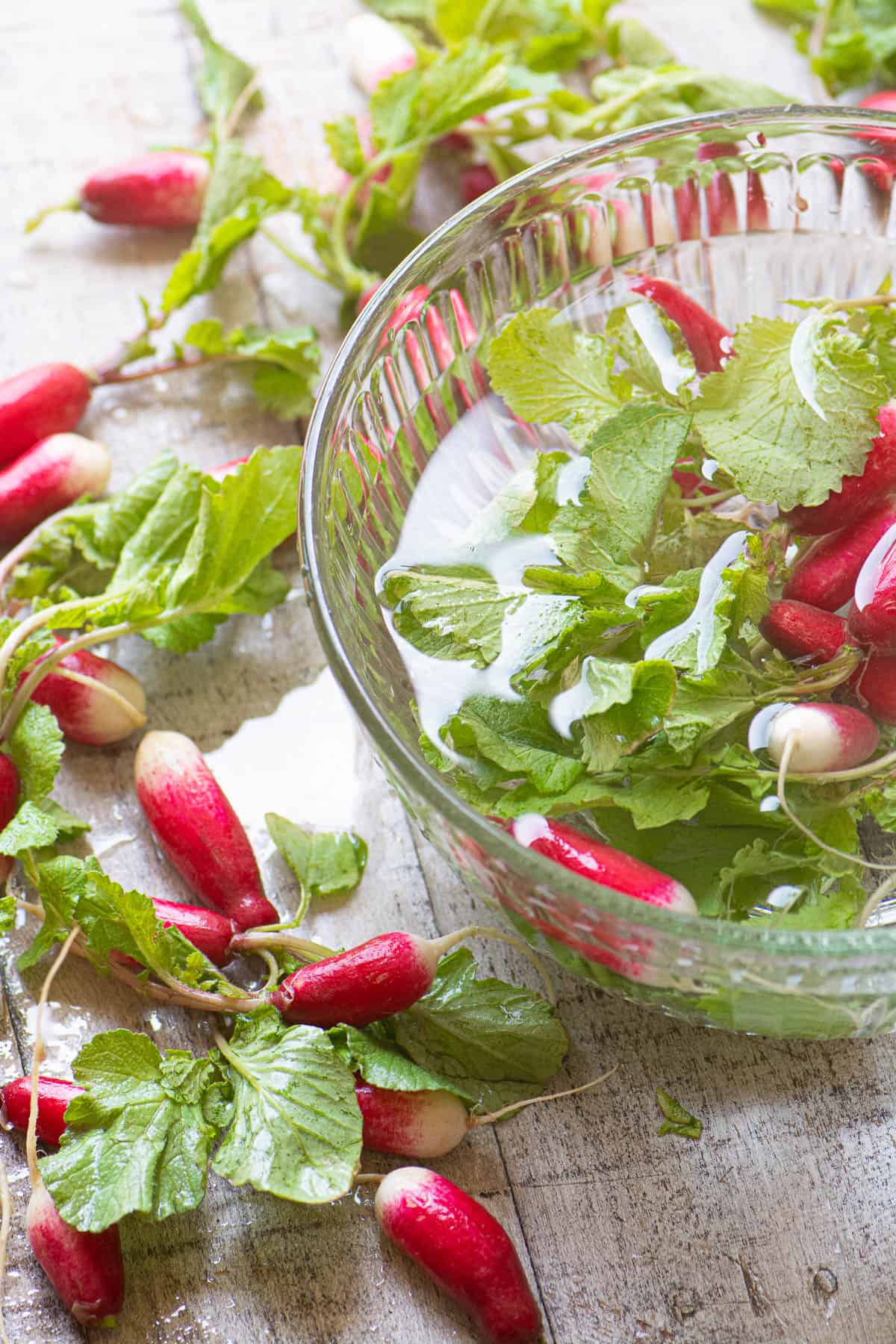 Washing French breakfast radishes
