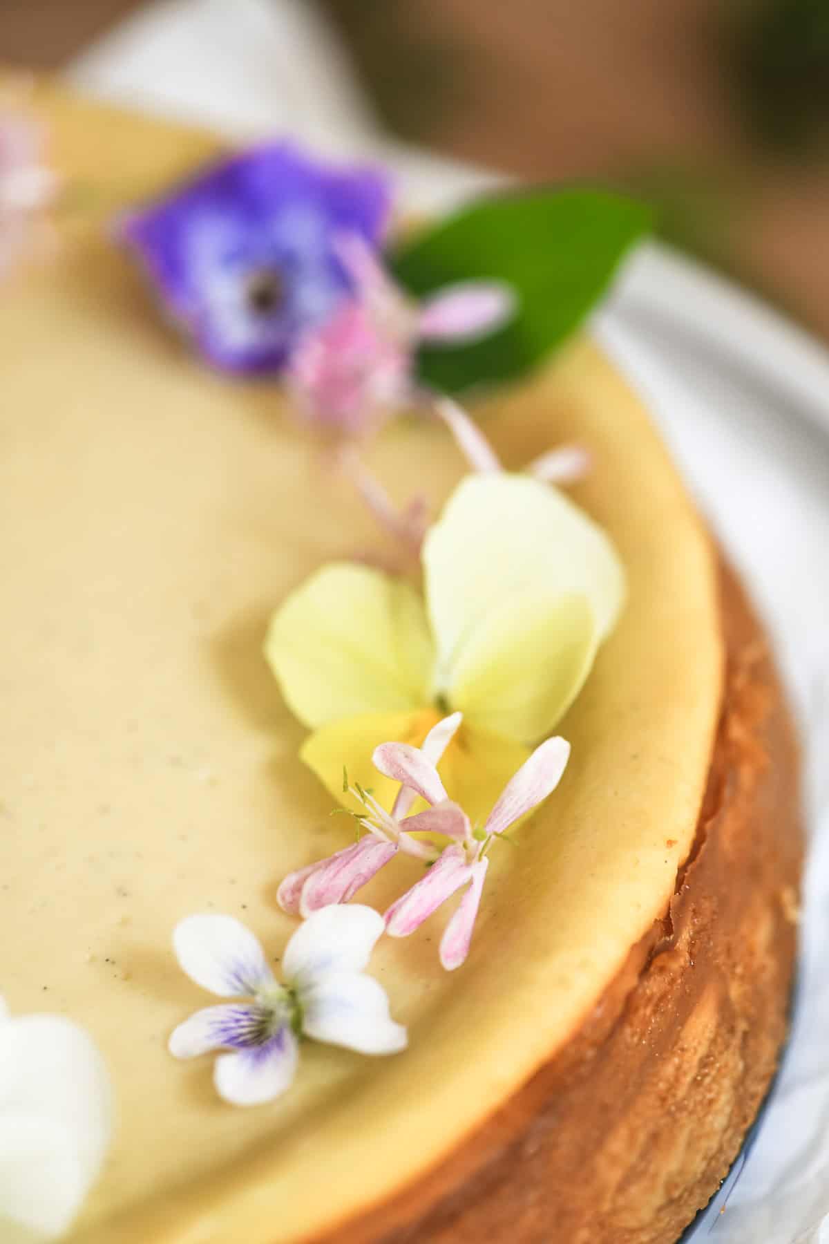 Close look at spring blossoms decorating a vanilla bean cheesecake.