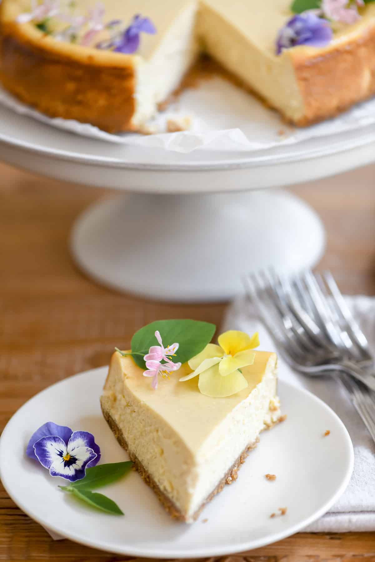 a slice of vanilla bean cheesecake on a plate.