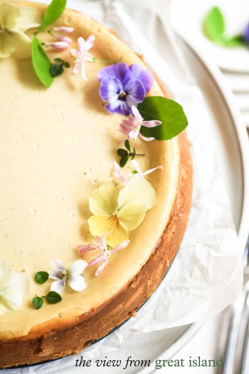 vanilla bean cheesecake pin