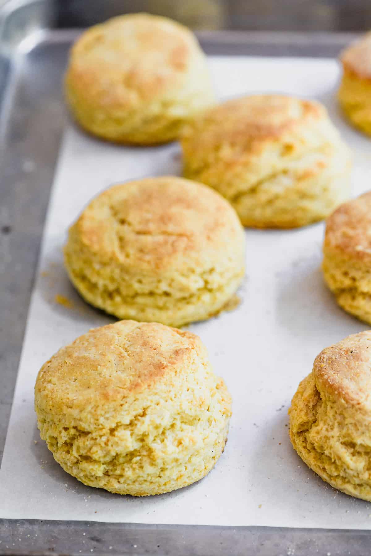 Hot honey corn biscuits just baked, on a parchment lined sheet pan.