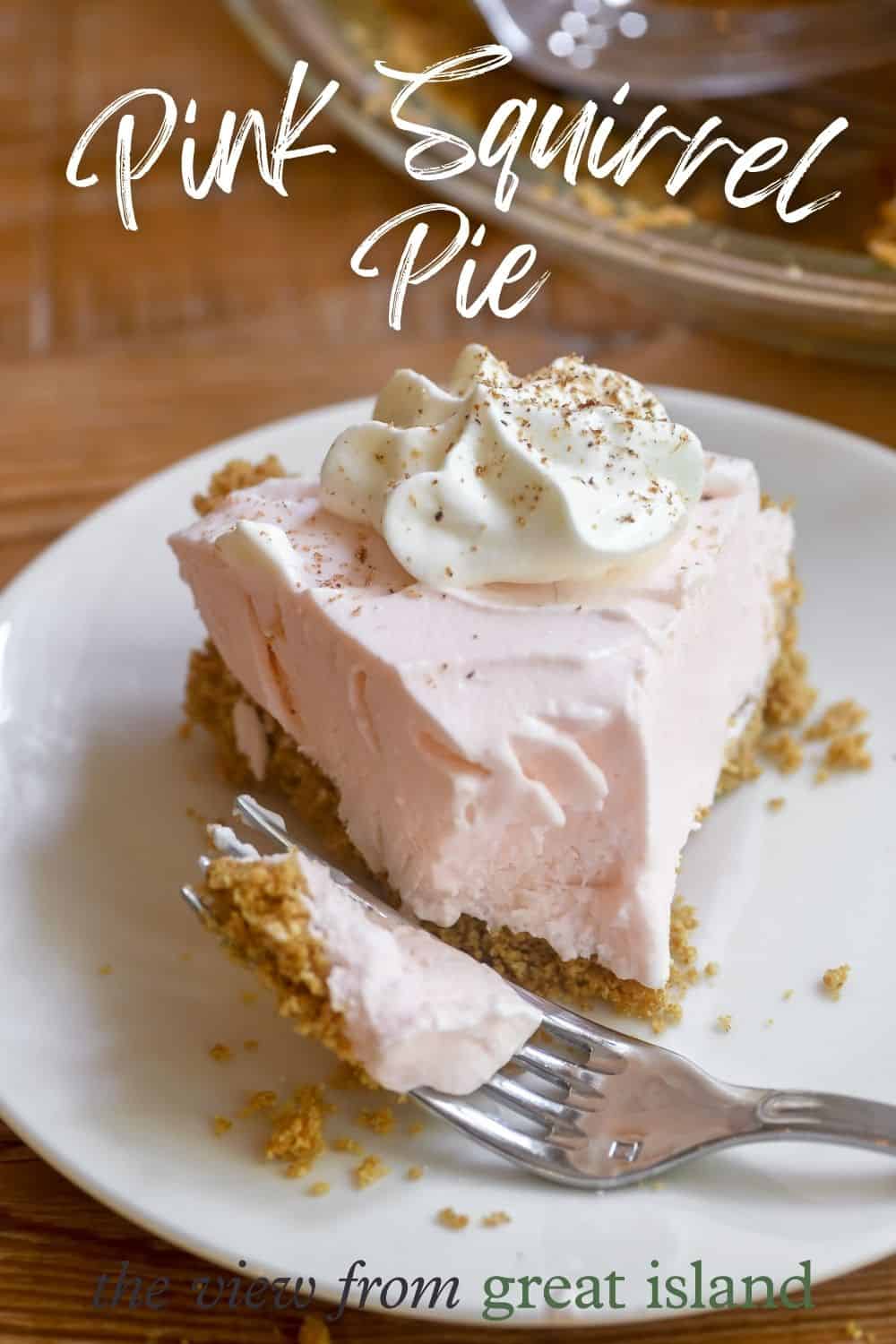 pink squirrel pie pin