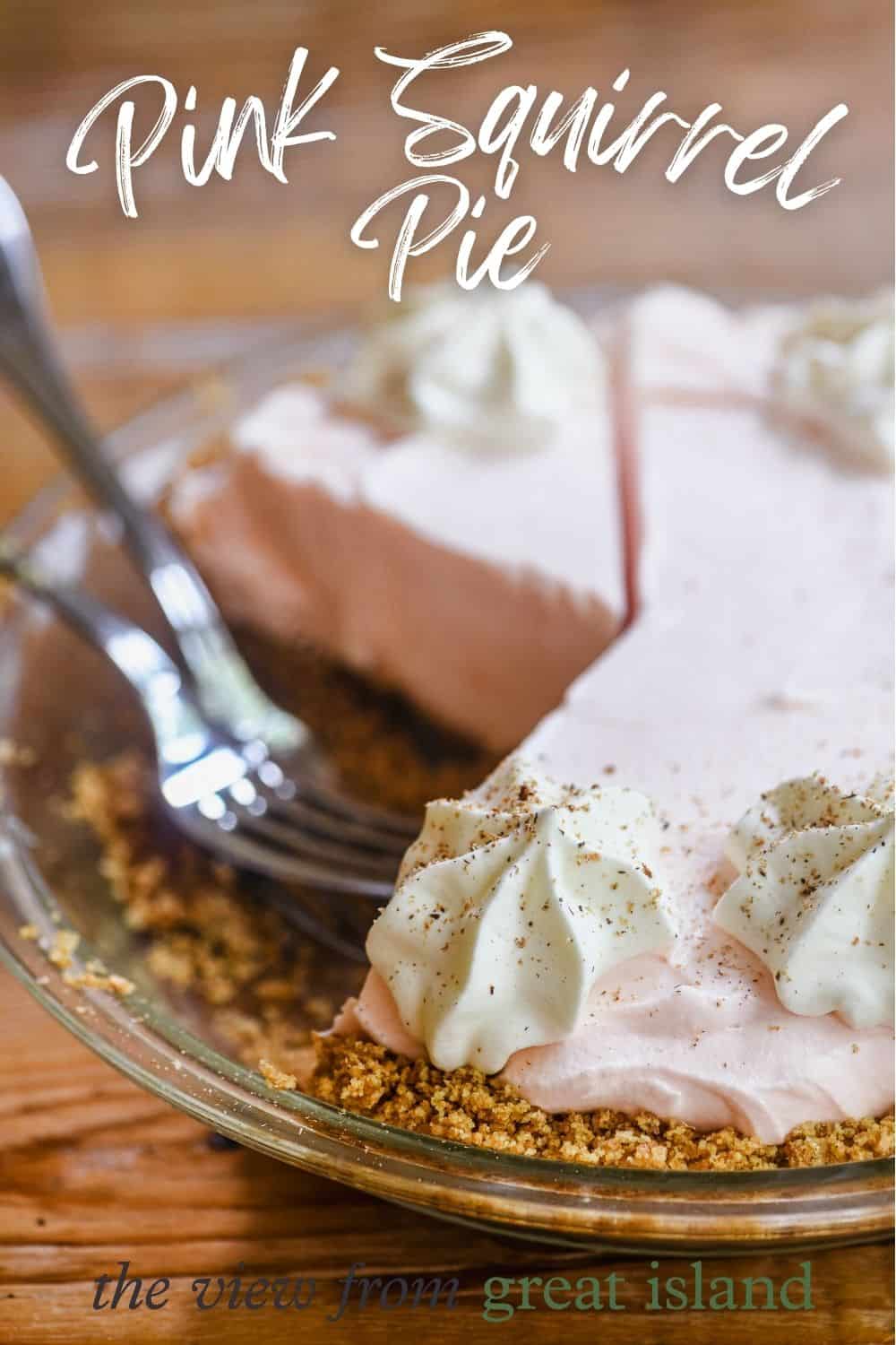 pink squirrel pie pin