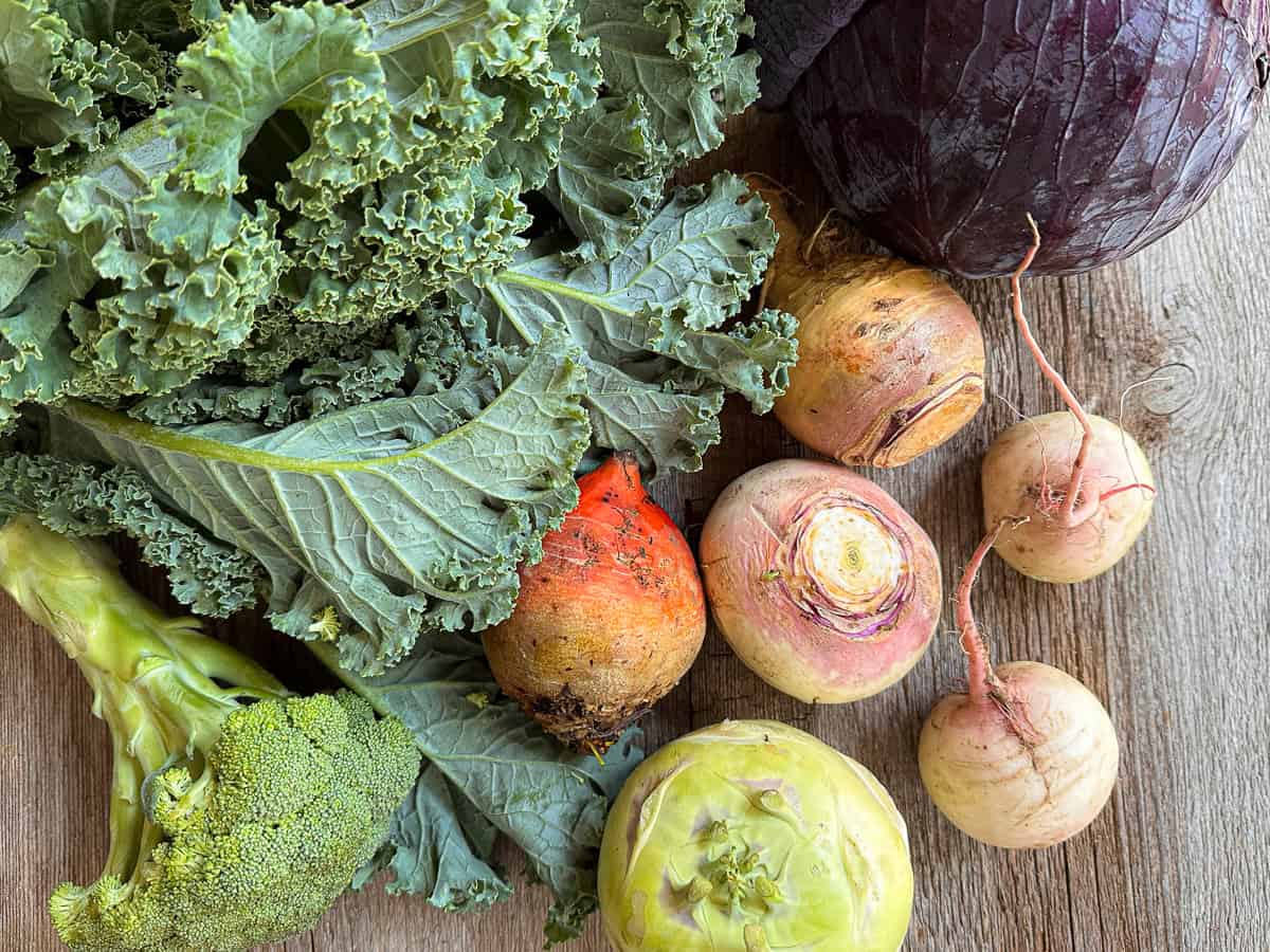 kale, broccoli, rutabaga, beet, radish, red cabbage and kolrabi on a wooden table.