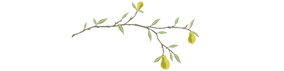 pear art divider