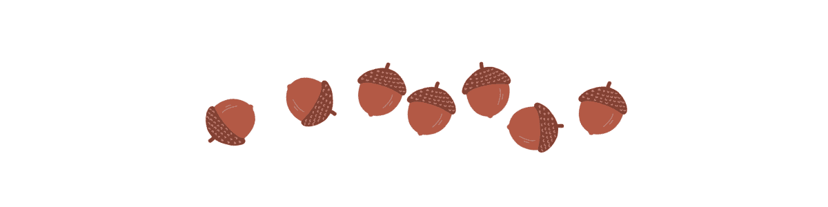 acorn art divider