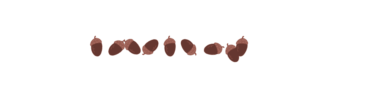 acorn art divider