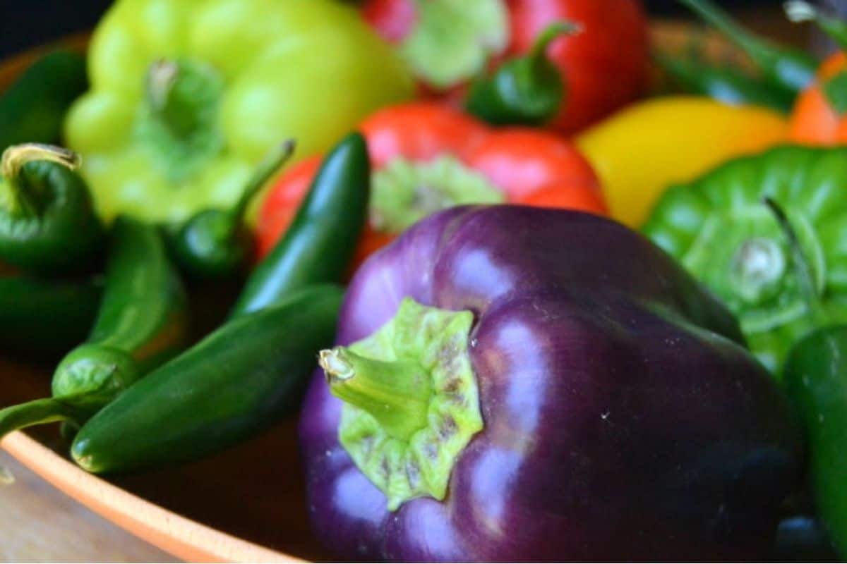 brightly colored peppers for making hot pepper jelly.