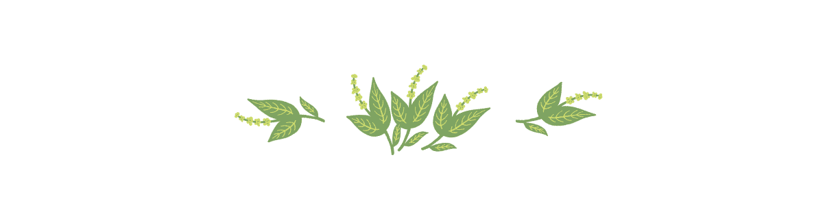 flowering thyme art divider
