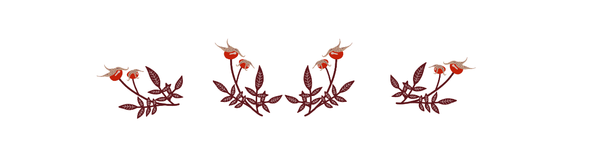 rose hips art divider
