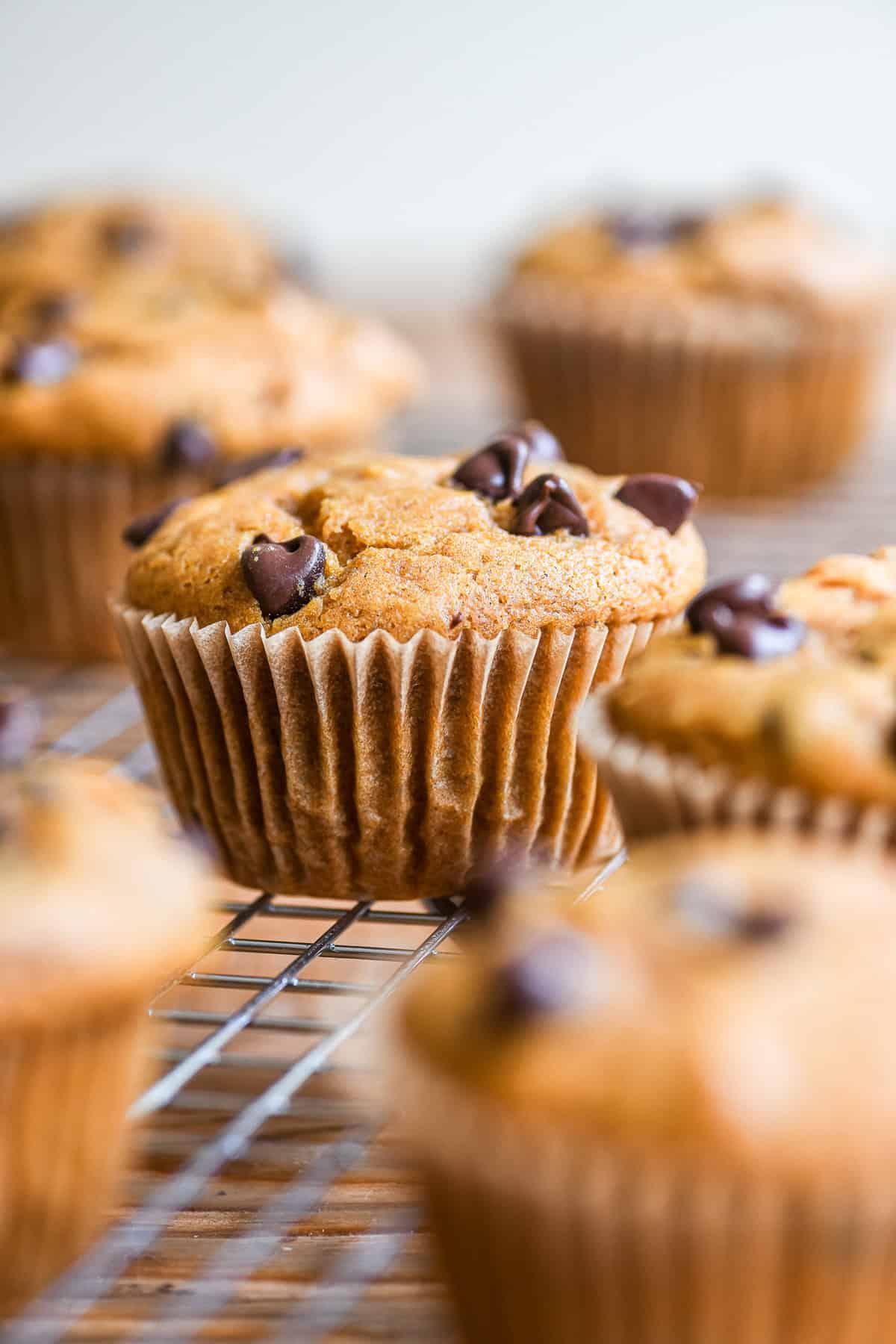 chocolate chip pumpkin muffins, cooling.