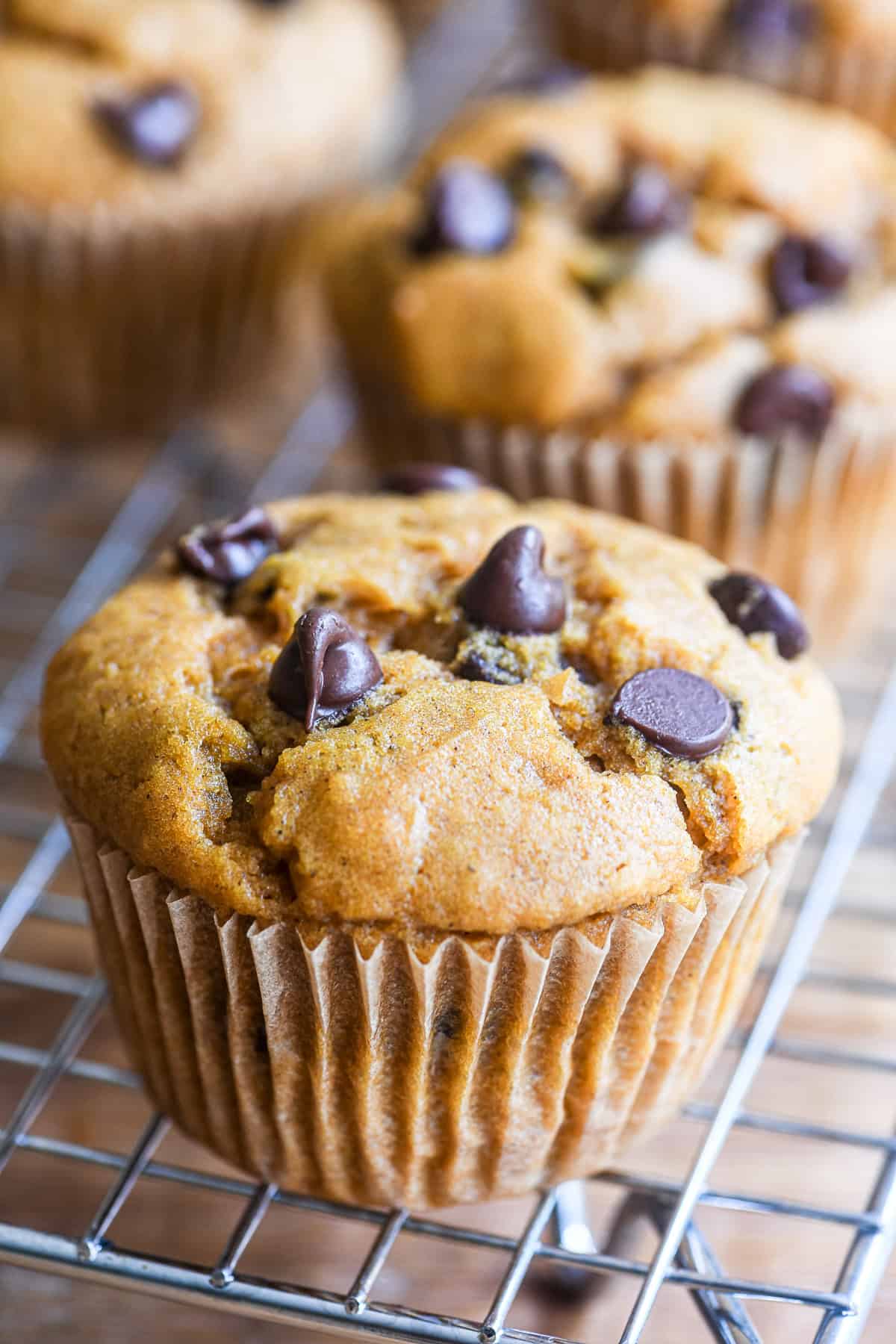 pumpkin chocolate chip muffins on a rack.