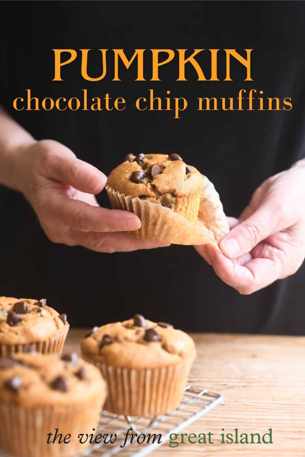 pumpkin chocolate chip muffins pin.