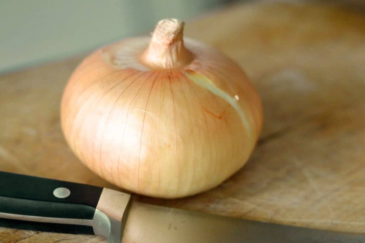 vidalia onion, perfect for stuffing.