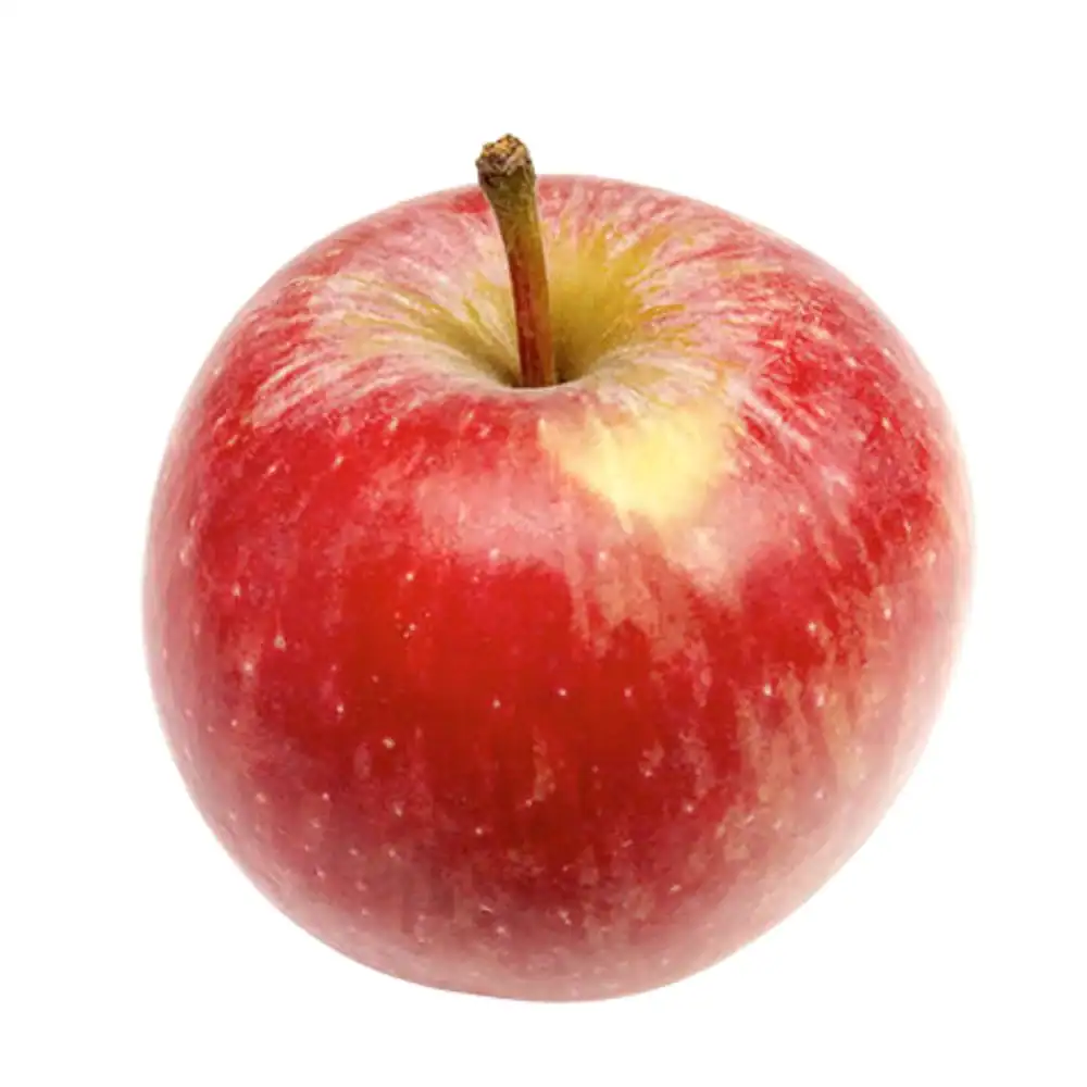 honeycrisp apple 