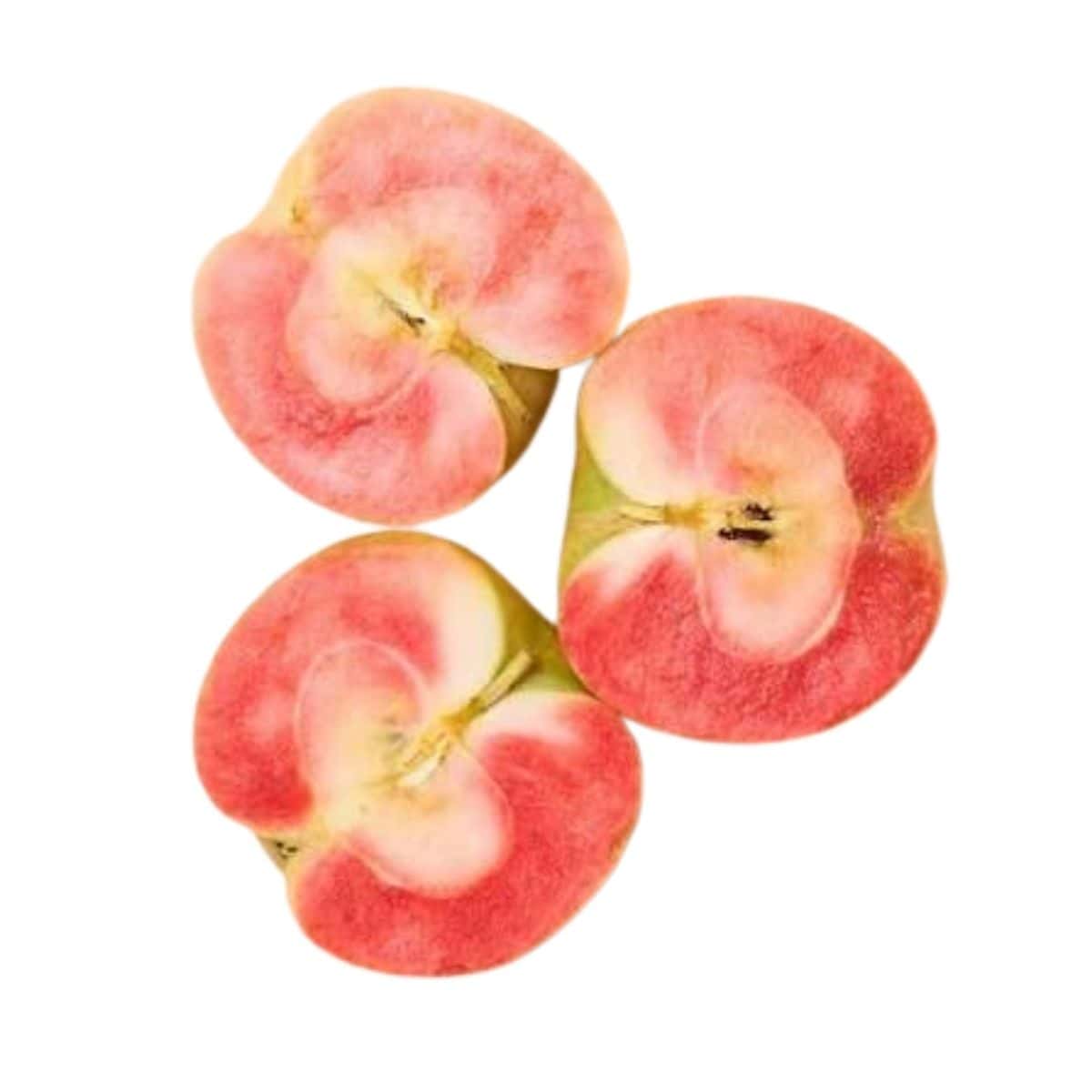Lucy Glo apples