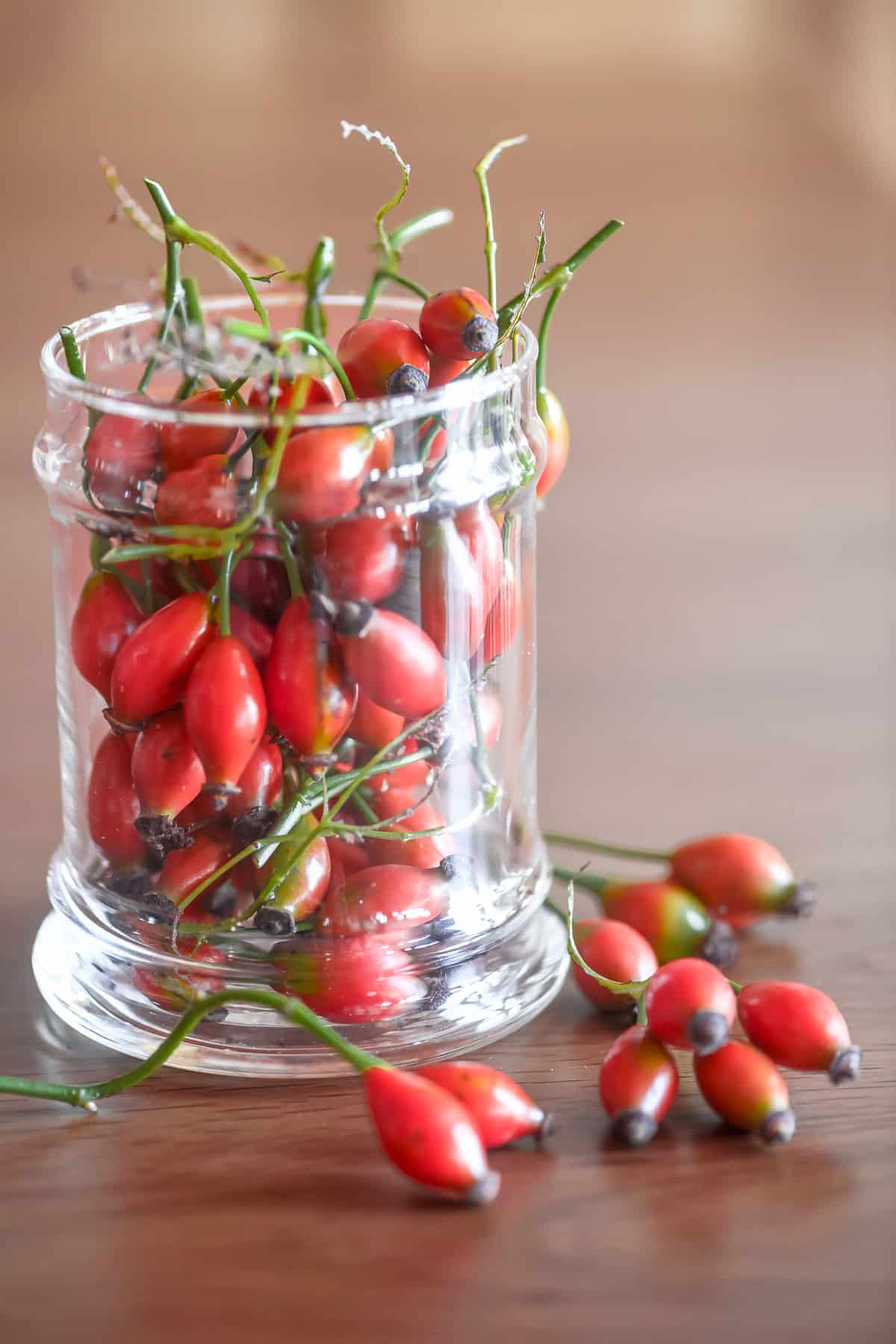 rose hips in a jar.